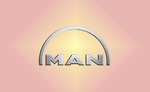 ✓ MAN SL81394 Фильтр воздушный 